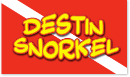 Destin Snorkel Logo